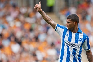 Brighton & Hove Albion: Liam Bridcutt in Action