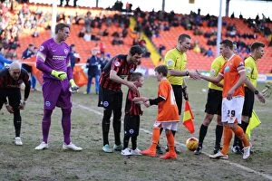 Images Dated 31st January 2015: Brighton & Hove Albion Mascot in Action: Sky Bet Championship Match vs. Blackpool (31Jan15)