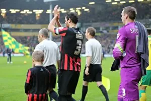Images Dated 22nd November 2014: Brighton & Hove Albion Mascot in Action at Norwich City's Carrow Road during Sky Bet Championship