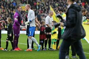 Images Dated 22nd November 2014: Brighton & Hove Albion Mascot in Action at Norwich City's Carrow Road during Sky Bet Championship