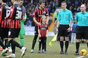 Sheffield Wednesday 14FEB15 Prints: Brighton and Hove Albion Mascot in Action at Sheffield Wednesday's Hillsborough Stadium
