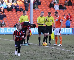 Brighton and Hove Albion Mascot in Action: Sky Bet Championship Match at Blackpool's Bloomfield Road (31Jan15)
