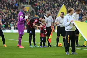 Norwich City 22NOV14 Prints: Brighton & Hove Albion Mascot Faces Off Against Norwich City's during Sky Bet Championship Clash (22NOV14)