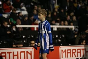 Images Dated 29th December 2014: Brighton and Hove Albion Mascot at Fulham's Craven Cottage during Sky Bet Championship Match