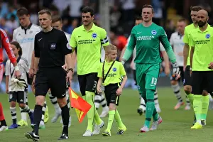 Brighton & Hove Albion Mascot at Fulham's Craven Cottage during Sky Bet Championship Match, August 15, 2015