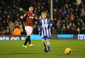Brighton & Hove Albion Mascot at Fulham's Craven Cottage during Sky Bet Championship Match (29DEC14)