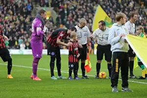 Images Dated 22nd November 2014: Brighton & Hove Albion Mascot at Norwich City's Carrow Road During Sky Bet Championship Match