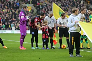 Norwich City 22NOV14 Prints: Brighton & Hove Albion Mascot at Norwich City's Carrow Road during Sky Bet Championship Match