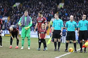 Brighton & Hove Albion Mascot at Sheffield Wednesday's Hillsborough Stadium during Sky Bet Championship Match (14 February 2015)