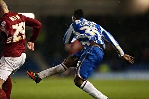 Images Dated 15th December 2012: Brighton & Hove Albion: Nostalgia from the 2012-13 Season - Home Game vs