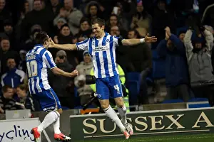 Bristol City - 27-11-2012 Prints: Brighton & Hove Albion: Nostalgic Home Game against Bristol City (Nov. 2012)