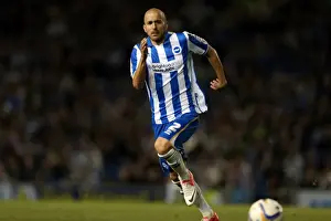 Sheffield Wednesday - 14-09-2012 Prints: Brighton & Hove Albion: A Nostalgic Look Back - 14-09-2012 Home Game vs