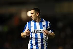 Images Dated 27th November 2012: Brighton & Hove Albion: A Nostalgic Look Back at the 2012-13 Home Game vs. Bristol City