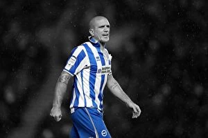 Images Dated 15th December 2012: Brighton & Hove Albion: A Nostalgic Look Back at the 2012-13 Home Season Game vs
