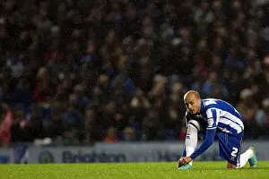 Bolton Wanderers - 24-11-2012 Prints: Brighton & Hove Albion: Nostalgic Look Back at the 2012-13 Home Game Against Bolton Wanderers
