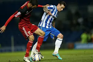 Bristol City - 27-11-2012 Prints: Brighton & Hove Albion: A Nostalgic Look Back at the 2012-13 Home Game Against Bristol City