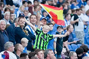 Brighton & Hove Albion: A Nostalgic Look Back at the 2012-13 Home Game Against Cardiff City
