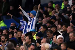 Bolton Wanderers - 24-11-2012 Prints: Brighton & Hove Albion: Nostalgic Look Back at the 2012-13 Home Game vs. Bolton Wanderers