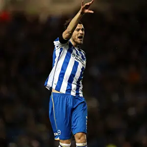 Bristol City - 27-11-2012 Prints: Brighton & Hove Albion: Nostalgic Look Back - Home Game vs. Bristol City (2012-13 Season)