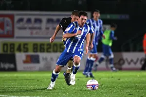 Brentford Prints: Brighton & Hove Albion: Nostalgic Review of the 2010-11 Home Season vs. Brentford