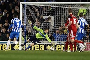 Images Dated 27th November 2012: Brighton & Hove Albion: Nostalgic Review of the 2012-13 Home Game Against Bristol City