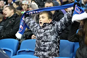 Bolton Wanderers - 24-11-2012 Prints: Brighton & Hove Albion: Nostalgic Review of the 2012-13 Home Game Against Bolton Wanderers (24-11-2012)