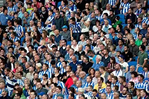 Cardiff City - 21-08-2012 Prints: Brighton & Hove Albion: Nostalgic Review of the 2012-13 Home Game Against Cardiff City