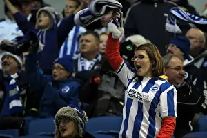Bristol City - 27-11-2012 Prints: Brighton & Hove Albion: Nostalgic Review - 2012-13 Home Game vs. Bristol City