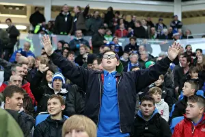 Bolton Wanderers - 24-11-2012 Prints: Brighton & Hove Albion: Nostalgic Revisit - 2012-13 Home Game vs