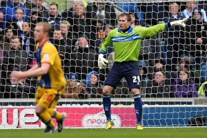 Crystal Palace -17-03-2013 Prints: Brighton & Hove Albion: Nostalgic Revisit - 2012-13 Home Game vs
