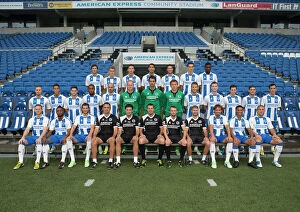Images Dated 2013 July: Brighton & Hove Albion Official Team Photo 2013_14 Season