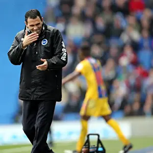 Brighton And Hove Albion Past Seasons: Season 2012-13: 2012-13 Home Games: Crystal Palace -17-03-2013