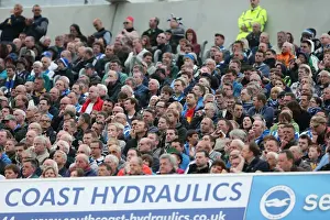 Wolves - 04-05-2013 Prints: Brighton And Hove Albion Past Seasons: Season 2012-13: 2012-13 Home Games: Wolves - 04-05-2013