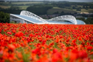 Brighton & Hove Albion: A Peek into The Amex Stadium