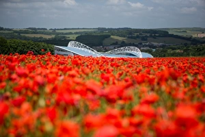 Brighton & Hove Albion: A Peek into The Amex Stadium