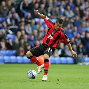 Peterborough United Prints: Brighton & Hove Albion at Peterborough United (2010-11): A Season Highlight - Away Game