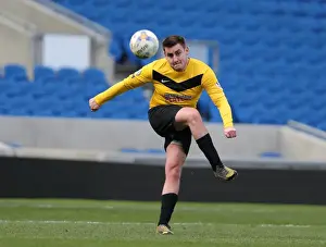 Brighton & Hove Albion: Play on the Pitch - A 2015 Match at American Express Community Stadium