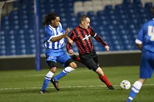 Brighton & Hove Albion: Play on the Pitch - 27 April 2015