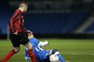 Prints of Play on the pitch match at the American Express Community Stadium, Brighton and Hove, England on 27 April 2015 Play On Pitch 2015 Prints: Brighton & Hove Albion: Play on the Pitch at the American Express Community Stadium (27 April 2015)