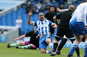 Brighton & Hove Albion: Play on the Pitch - American Express Community Stadium (28 April 2015)