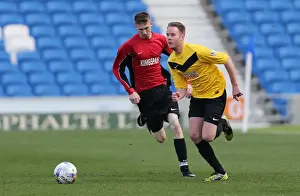 Brighton & Hove Albion: Play on the Pitch - American Express Community Stadium (April 2015)