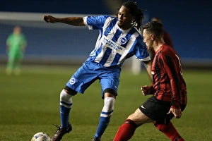 Brighton & Hove Albion: Play on the Pitch - April 27, 2015 (EVE)