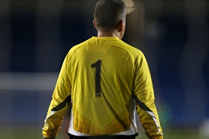 Brighton & Hove Albion: Play on the Pitch - April 27, 2015