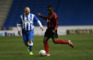 Prints of Play on the pitch match at the American Express Community Stadium, Brighton and Hove, England on 27 April 2015 Play On Pitch 2015 Prints: Brighton & Hove Albion: Play on the Pitch - April 27, 2015 (EVE)