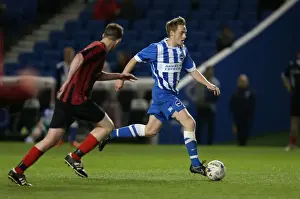 Prints of Play on the pitch match at the American Express Community Stadium, Brighton and Hove, England on 27 April 2015 Play On Pitch 2015 Prints: Brighton & Hove Albion: A Play on the Pitch Moment - 27 April 2015