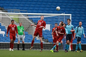 Brighton & Hove Albion: Ten Players in Action (May 1, 2015)