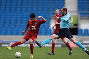 Brighton & Hove Albion: Ten Players in Action (May 1, 2015)