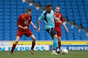 Brighton & Hove Albion: Ten Players in Action (May 1, 2015)
