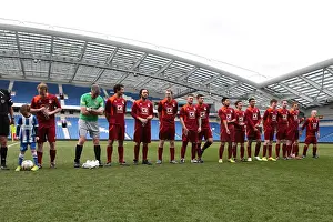 Brighton & Hove Albion: Ten Players in Action on Pitch (May 1, 2015)