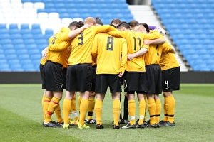 Brighton & Hove Albion: Playing on Pitch, April 29, 2015 (PM)